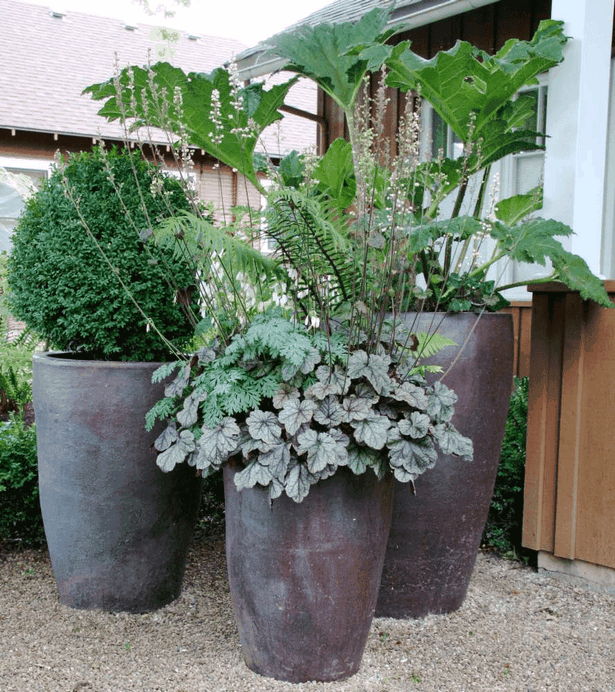 pot-plant-designs-53 Саксийни растения дизайни