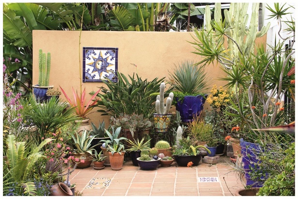 pot-plant-garden-ideas-65_4 Саксия растения градински идеи