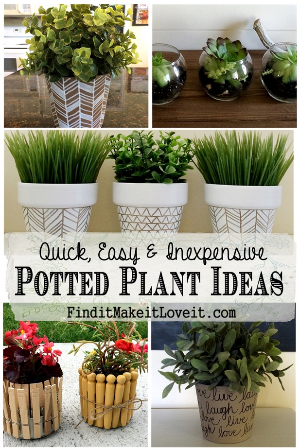 pot-plant-ideas-85_9 Саксийни растения идеи