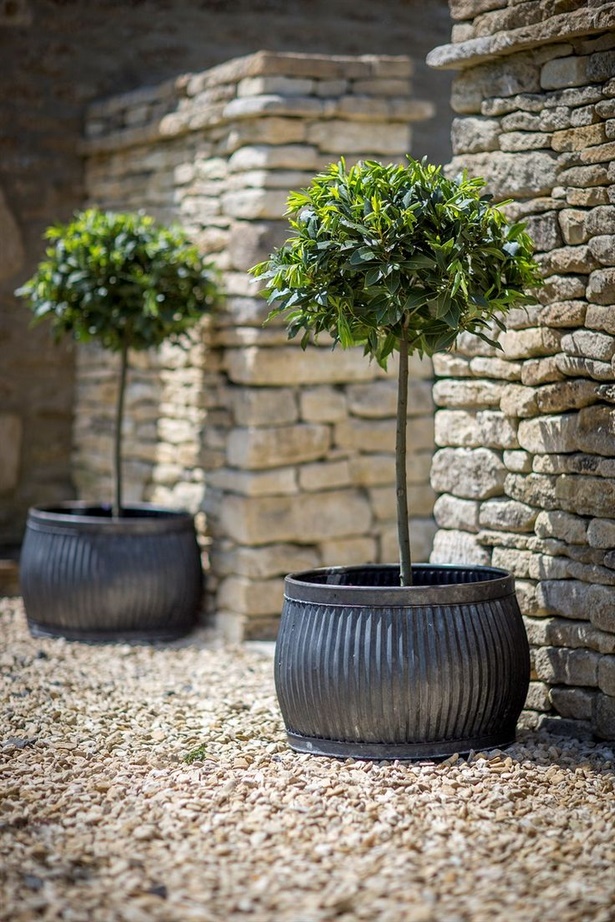 pots-for-garden-plants-58_19 Саксии за градински растения