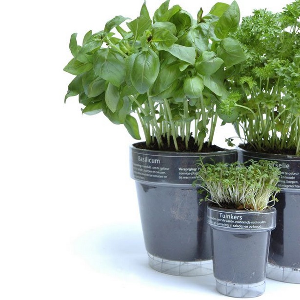 pots-for-garden-plants-58_20 Саксии за градински растения
