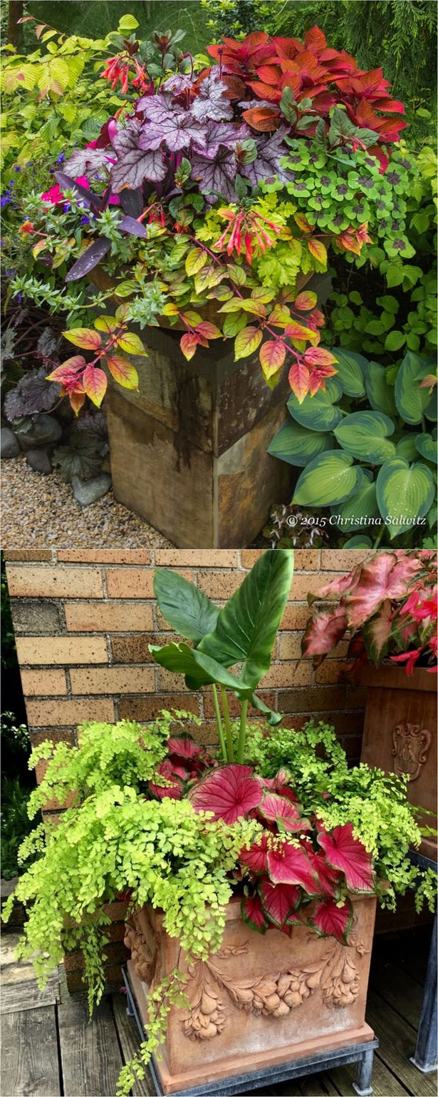 pots-for-garden-plants-58_3 Саксии за градински растения