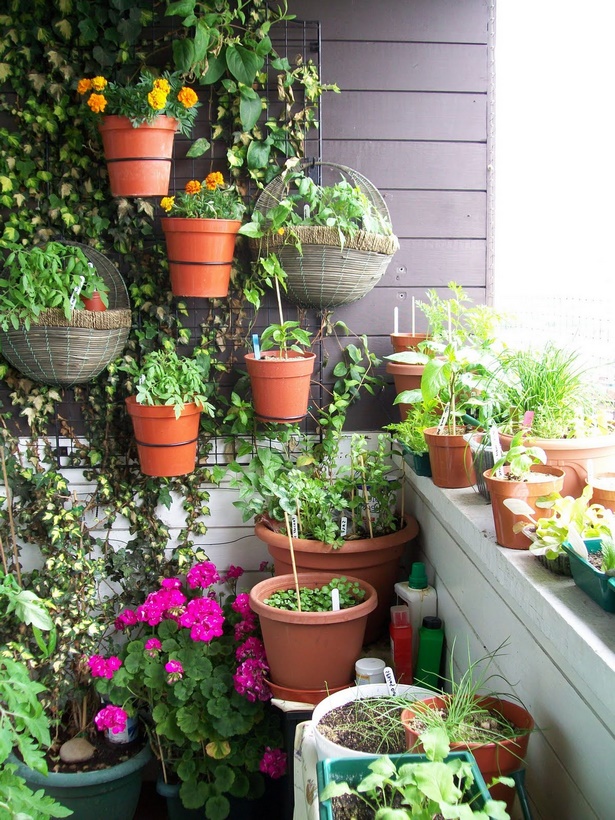 pots-for-plants-ideas-77 Саксии за растения идеи