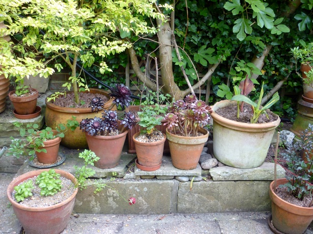 pots-for-the-garden-07 Саксии за градината