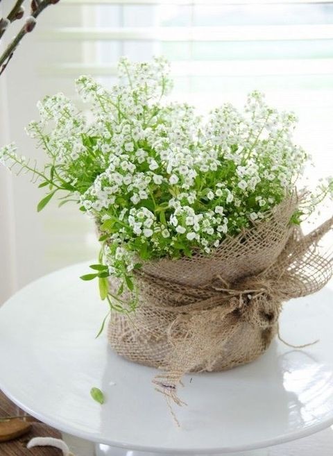 potted-flower-arrangement-ideas-36_13 Идеи за саксийни цветя
