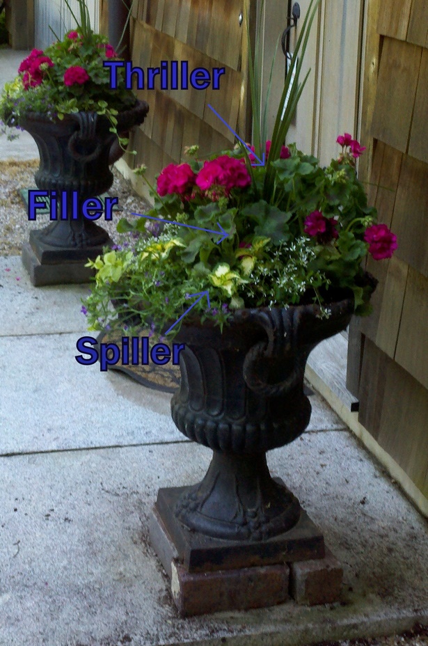 potted-flower-arrangement-ideas-36_20 Идеи за саксийни цветя