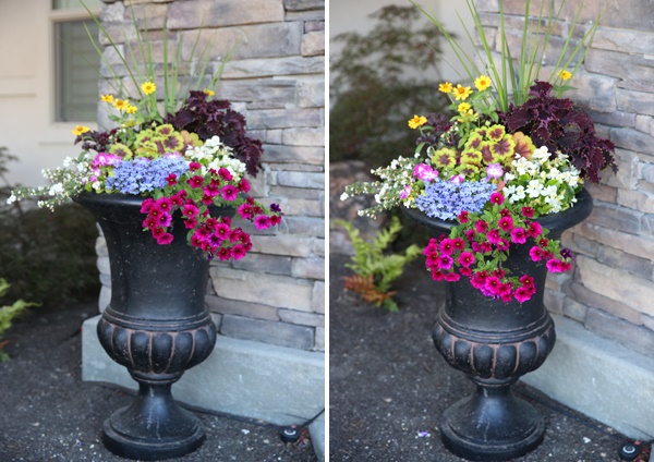 potted-flower-arrangement-ideas-36_6 Идеи за саксийни цветя