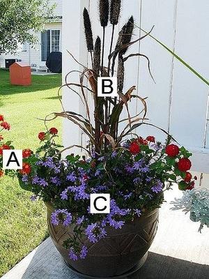 potted-flower-arrangement-ideas-36_7 Идеи за саксийни цветя