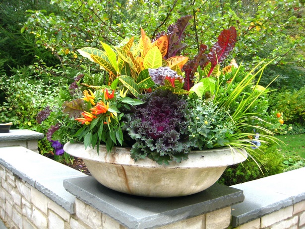 potted-flower-arrangements-51_16 Саксийни цветни аранжировки