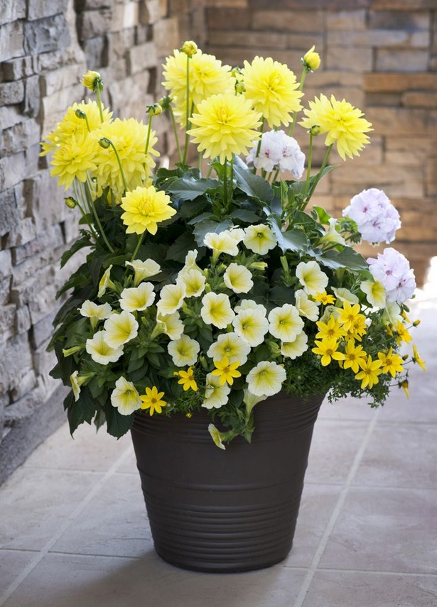 potted-flower-arrangements-51_19 Саксийни цветни аранжировки
