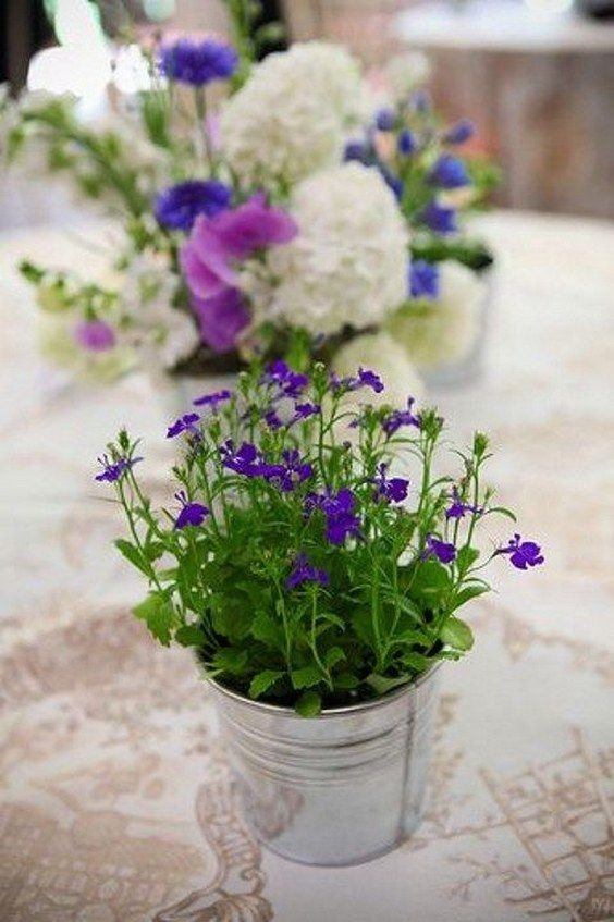 potted-flower-arrangements-51_2 Саксийни цветни аранжировки