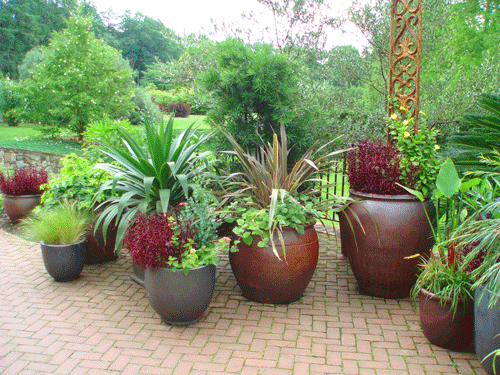 potted-patio-plants-57 Саксийни растения вътрешен двор