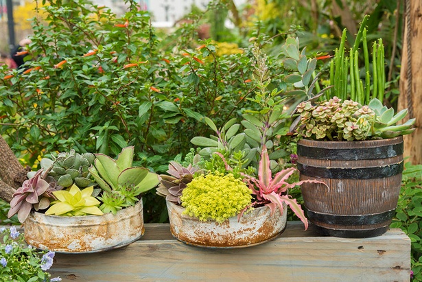 potted-patio-plants-57_15 Саксийни растения вътрешен двор