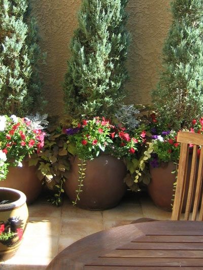 potted-plant-arrangement-ideas-47 Саксийни идеи за подреждане на растенията