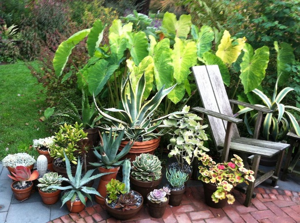 potted-plant-arrangement-ideas-47_13 Саксийни идеи за подреждане на растенията