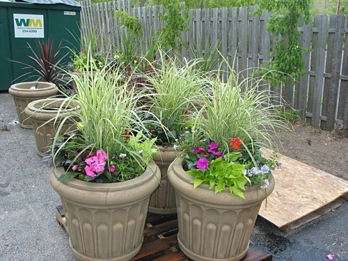 potted-plant-arrangements-46_4 Саксийни растения