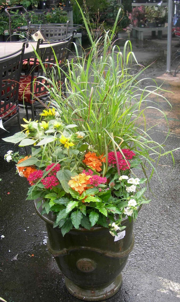 potted-plant-arrangements-46_8 Саксийни растения