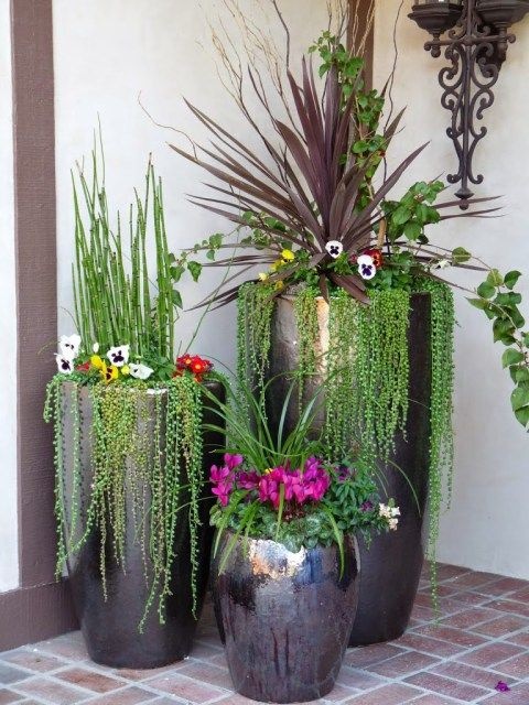potted-plant-ideas-for-front-porch-00_11 Саксийни растителни идеи за предната веранда