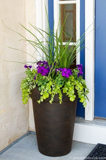 potted-plant-ideas-for-front-porch-00_19 Саксийни растителни идеи за предната веранда