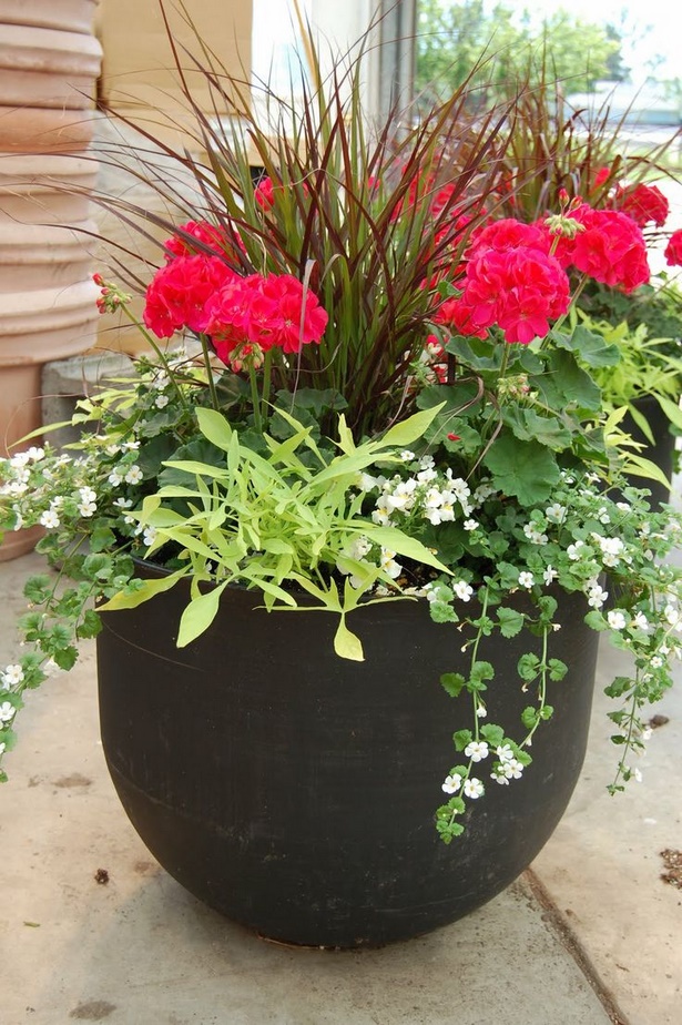 potted-plant-ideas-for-patio-65_11 Саксийни растителни идеи за вътрешен двор