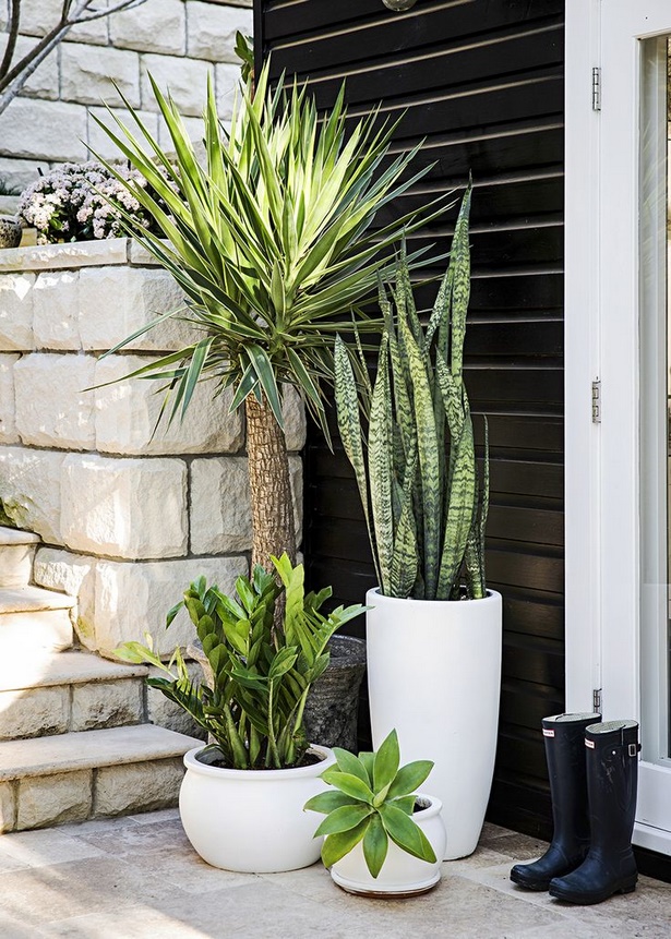potted-plant-ideas-for-patio-65_13 Саксийни растителни идеи за вътрешен двор