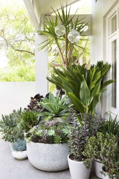 potted-plant-ideas-for-patio-65_19 Саксийни растителни идеи за вътрешен двор