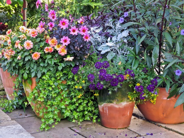 potted-plant-ideas-for-patio-65_20 Саксийни растителни идеи за вътрешен двор