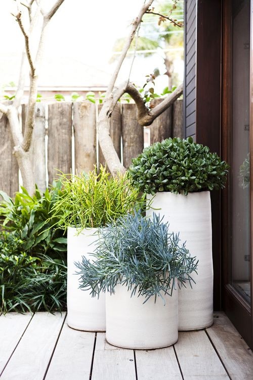 potted-plant-ideas-for-patio-65_8 Саксийни растителни идеи за вътрешен двор