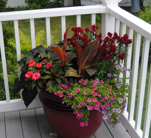 potted-plant-ideas-outdoors-50_14 Саксийни идеи за растения на открито