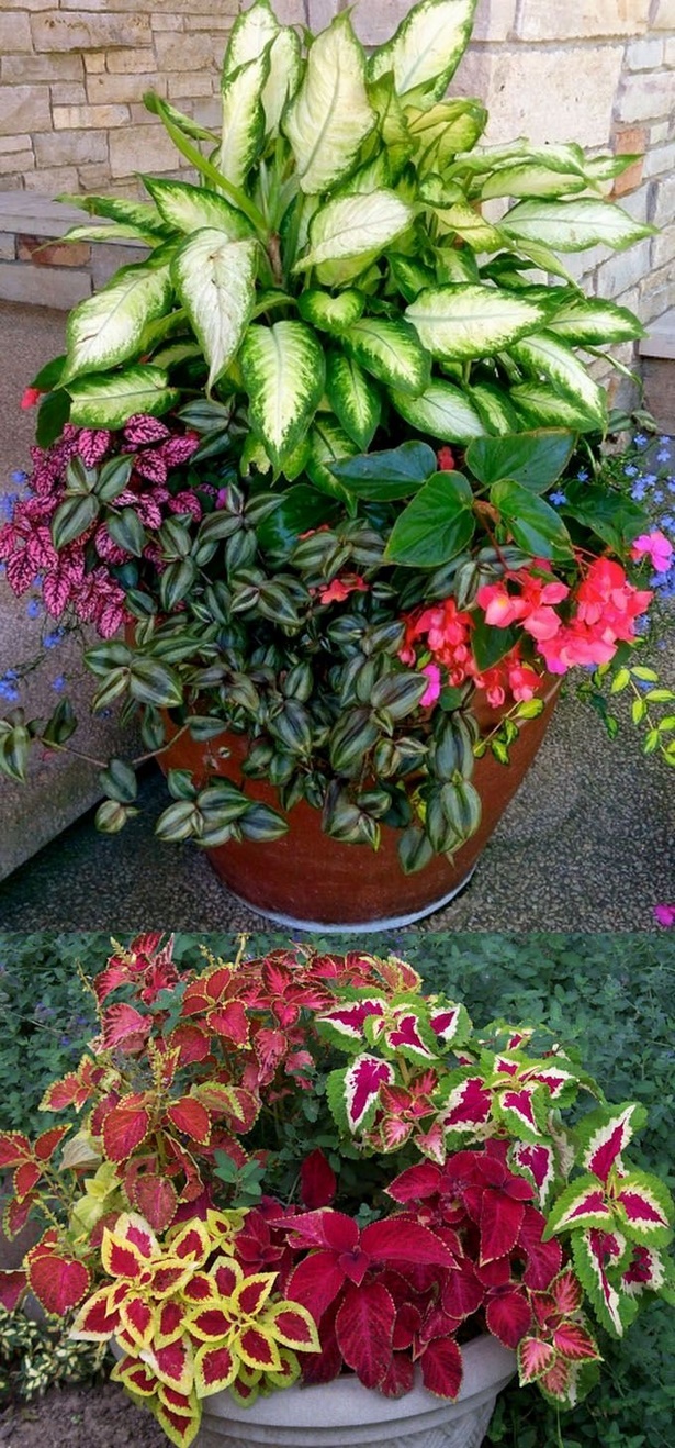 pretty-garden-pots-85_14 Красиви градински саксии