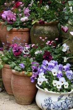 pretty-garden-pots-85_5 Красиви градински саксии
