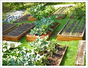 raised-beds-for-gardening-56 Повдигнати легла за градинарство