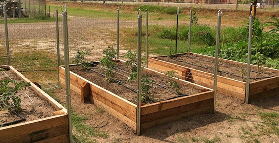 raised-beds-for-gardening-56_4 Повдигнати легла за градинарство