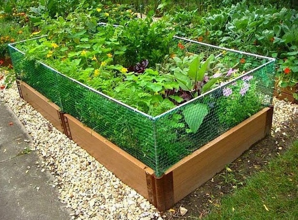 raised-container-gardening-13_3 Повдигнат контейнер градинарство