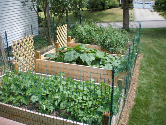 raised-garden-fence-ideas-26_15 Повдигнати градинска ограда идеи