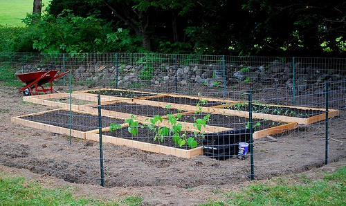 removable-garden-fence-ideas-82_10 Подвижни градински идеи за ограда