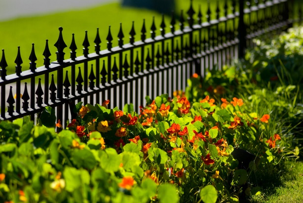 short-decorative-fence-40_17 Къса декоративна ограда