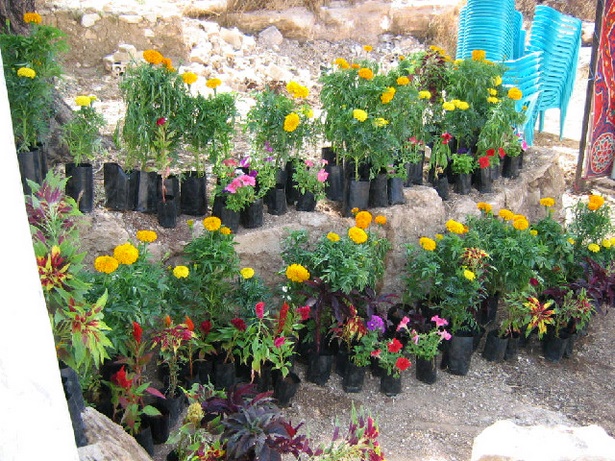 simple-home-garden-ideas-32 Прости идеи за домашна градина