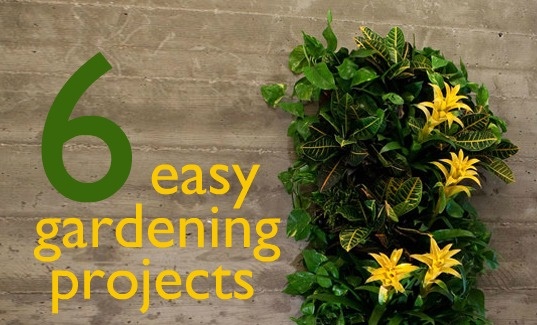 simple-home-garden-ideas-32_6 Прости идеи за домашна градина