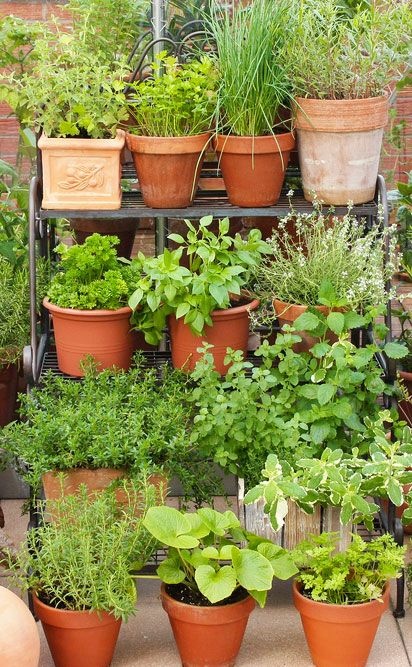 small-garden-ideas-with-pots-10_17 Малки градински идеи с саксии