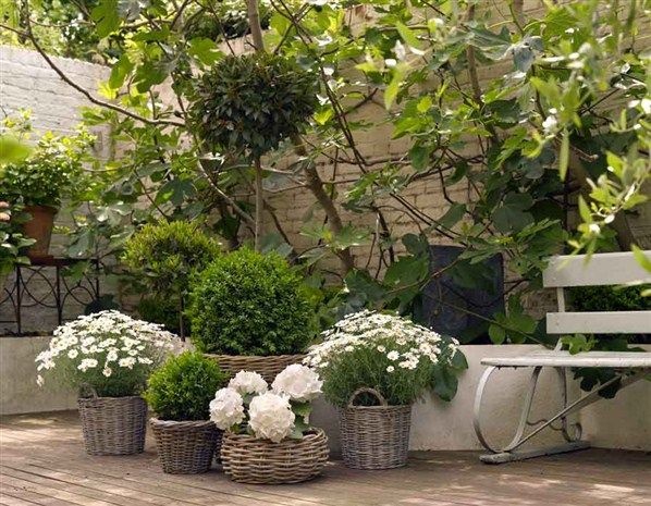 small-garden-ideas-with-pots-10_19 Малки градински идеи с саксии