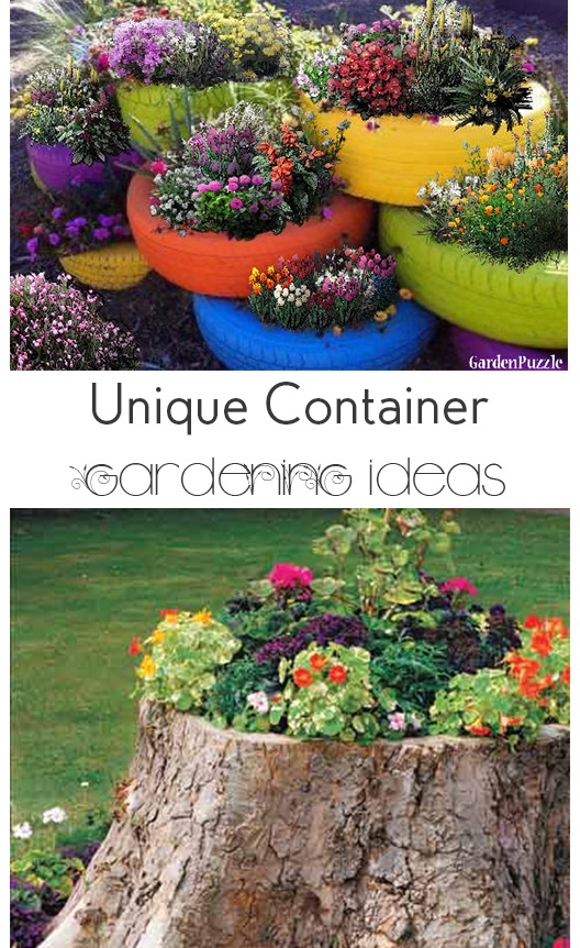 unique-container-gardening-ideas-36_11 Уникални контейнер градинарство идеи