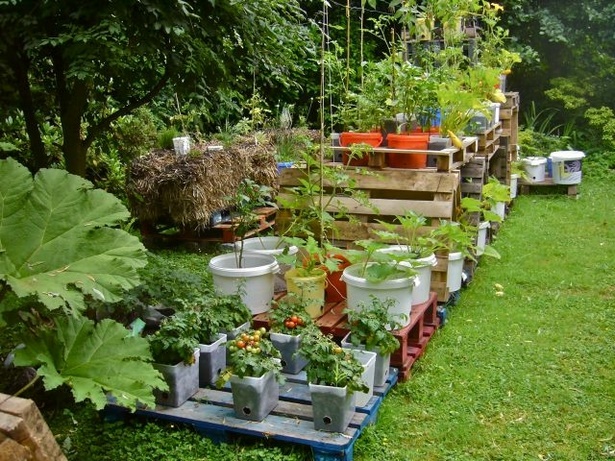 unique-container-gardening-ideas-36_17 Уникални контейнер градинарство идеи