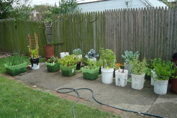 vegetable-garden-in-pots-ideas-65 Зеленчукова градина в саксии идеи