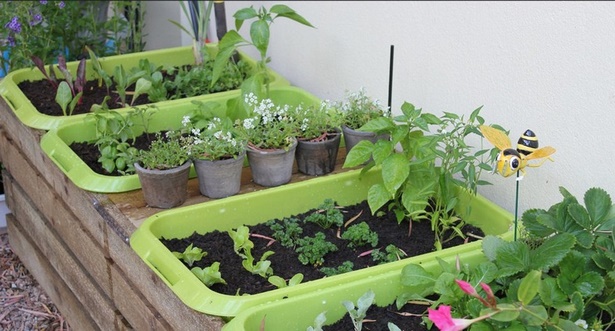 vegetable-garden-in-pots-ideas-65_16 Зеленчукова градина в саксии идеи