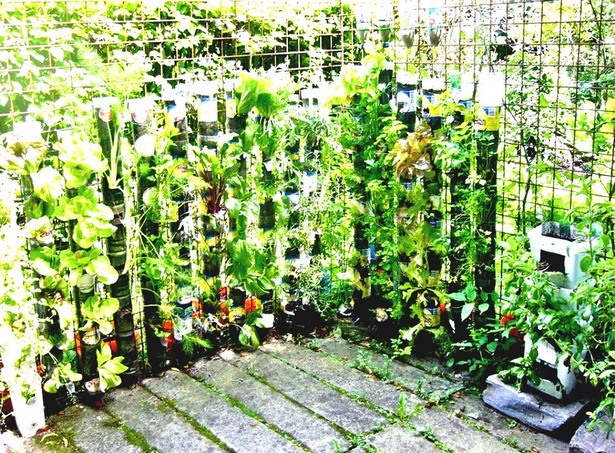 vegetable-garden-in-pots-ideas-65_17 Зеленчукова градина в саксии идеи