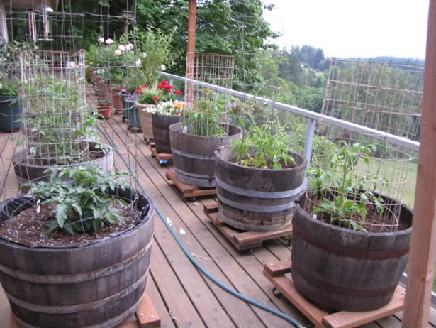 veggie-container-gardening-ideas-85_10 Вегетариански контейнер градинарство идеи