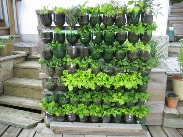 vertical-container-gardening-10_10 Вертикален контейнер градинарство
