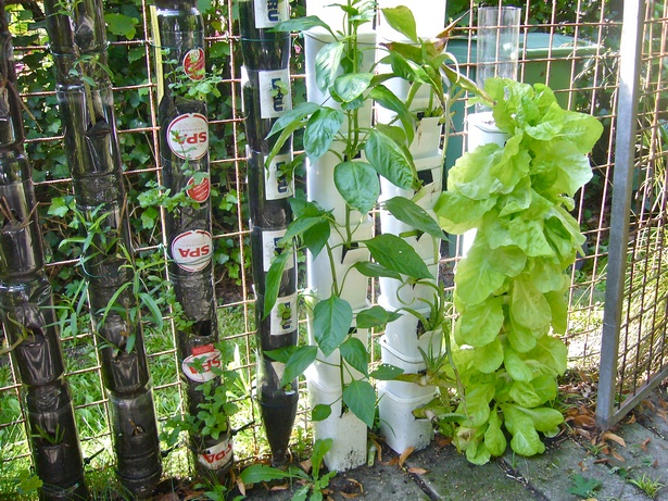 vertical-container-gardening-10_5 Вертикален контейнер градинарство