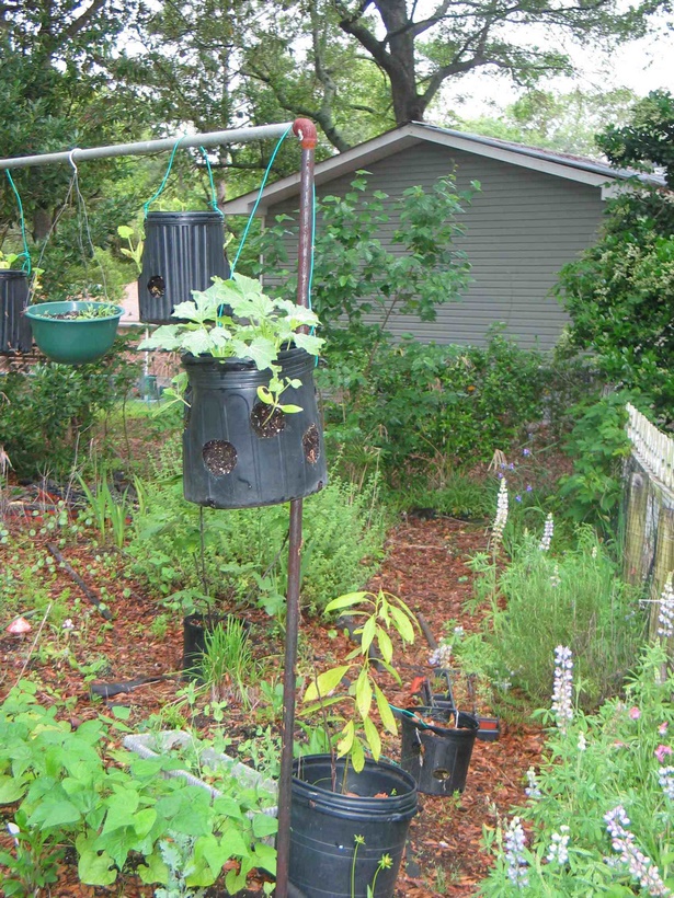 vertical-garden-container-ideas-56_14 Идеи за вертикални градински контейнери